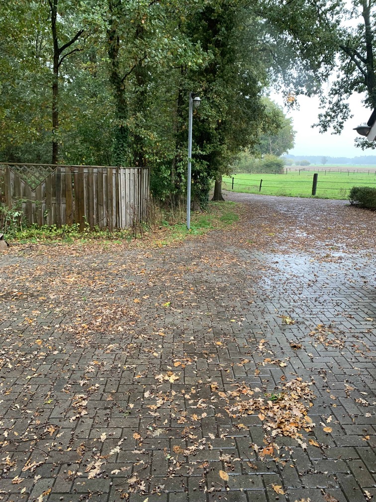 HRM Nederland - Gemakkelijk je tuin winterklaar maken